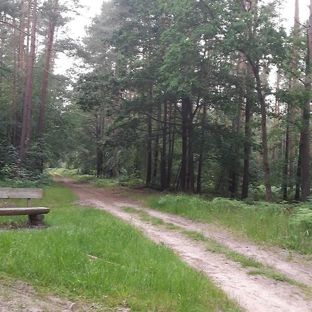 Апартаменти Auf Dem Hufen Рібніц-Дамгартен Екстер'єр фото