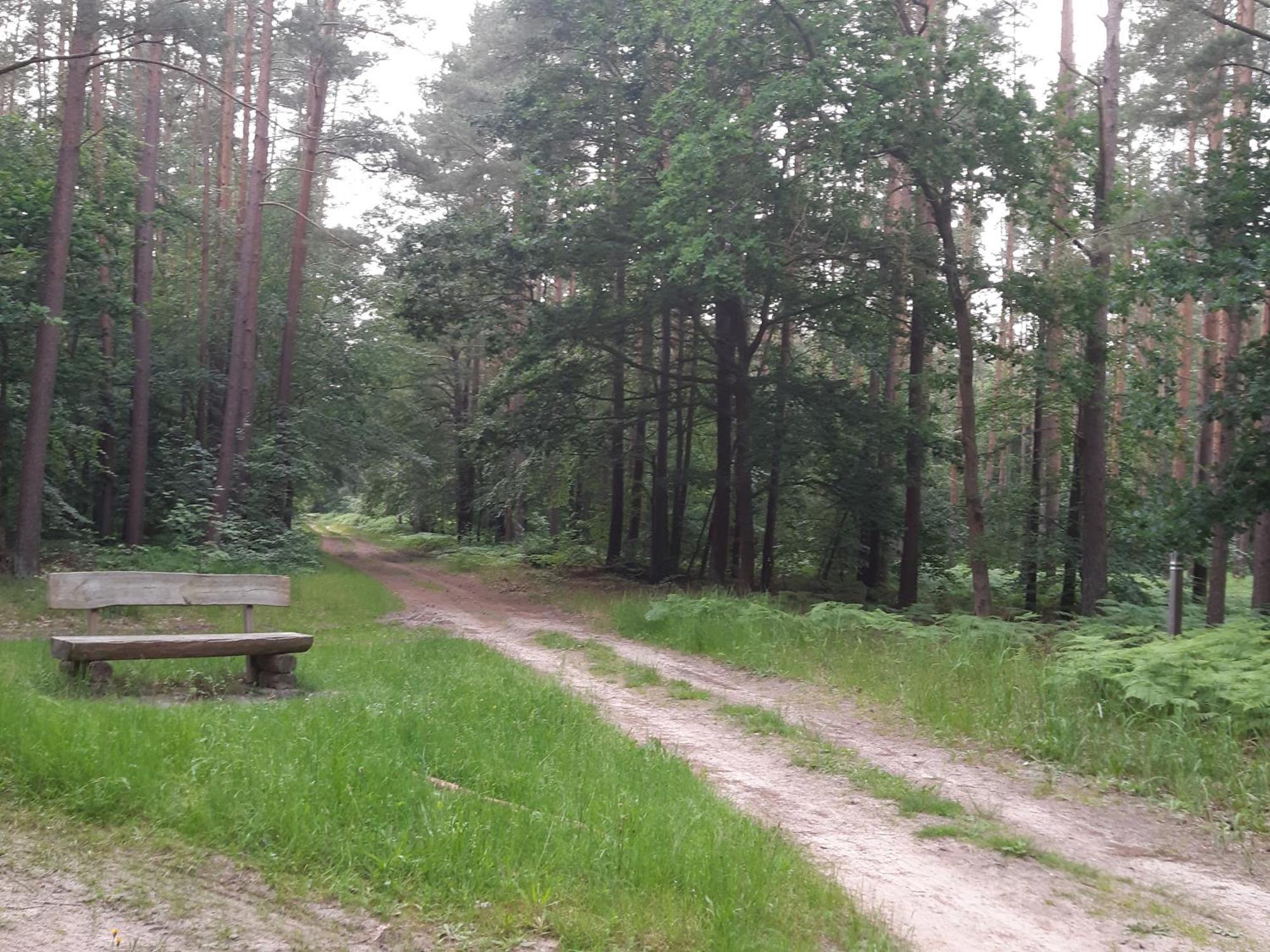 Апартаменти Auf Dem Hufen Рібніц-Дамгартен Екстер'єр фото